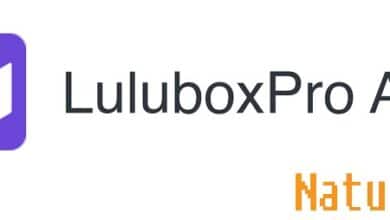 luluboxpro-6-11-0-1-apk
