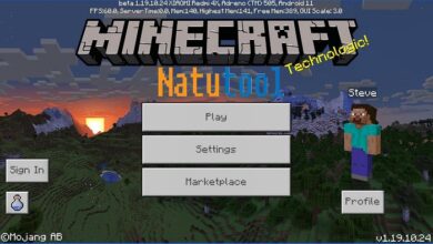 minecraft-1-19-10-24-apk