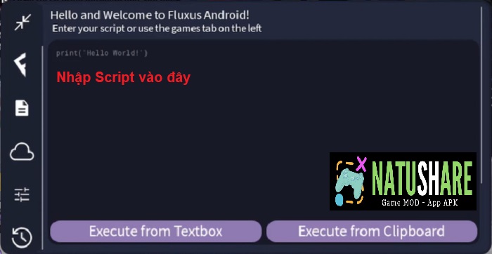 cai-dat-fluxus-v17-10