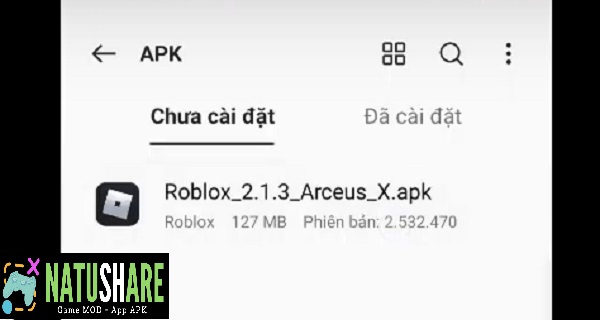 cai-dat-arceus-x-v3-0-1