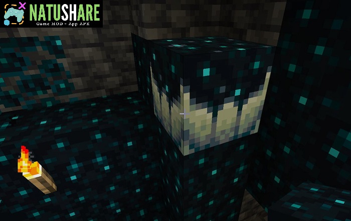 minecraft-1-19-20-pe