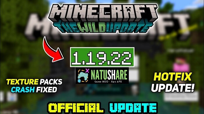 minecraft-1-19-22