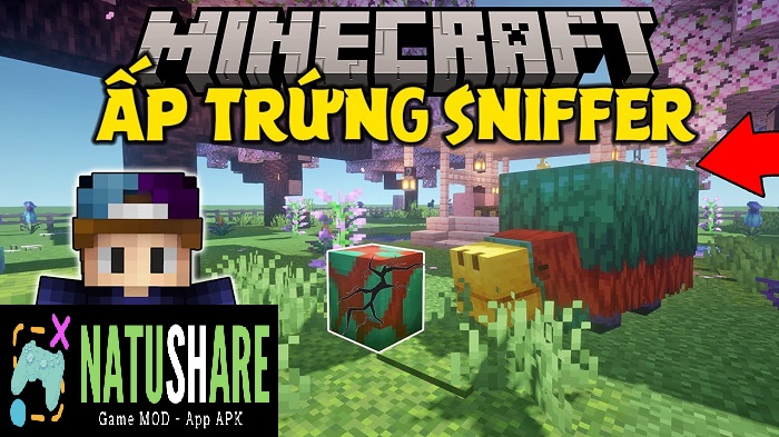 minecraft-1-20-1-pe-apk