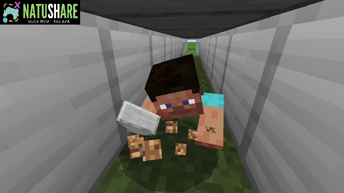 minecraft-1-20-10-21-beta-apk