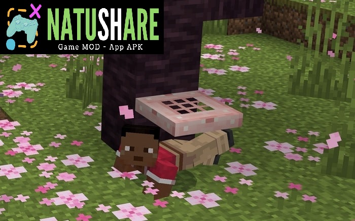minecraft-1-20-10-24-beta