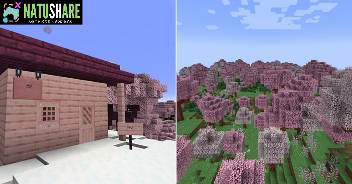 minecraft-1-20-20-20