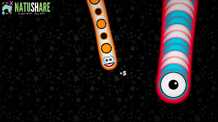 worms-zone-io-mod-vo-han-tien